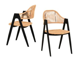 Modrest Gayle - Modern Rattan Dining Chair Set of 2