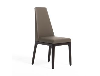 Modrest Encino - Modern Taupe & Timber Chocolate Dining Chair (Set of 2)