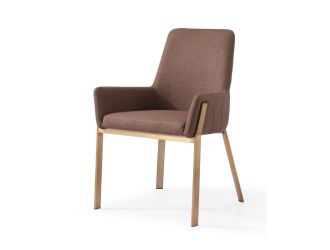 Modrest Robin - Modern Brown & Brass Dining Chair