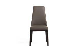Modrest Encino - Modern Taupe & Timber Chocolate Dining Chair (Set of 2)
